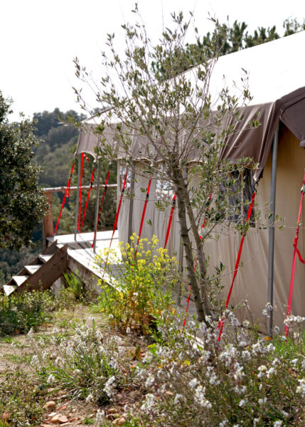Lodge en Camargue