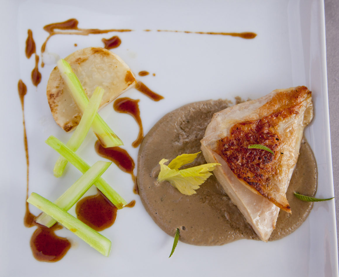 "Suprême de pintade fermière, crème de champignons et duo de céleri", le Mas Bottero.