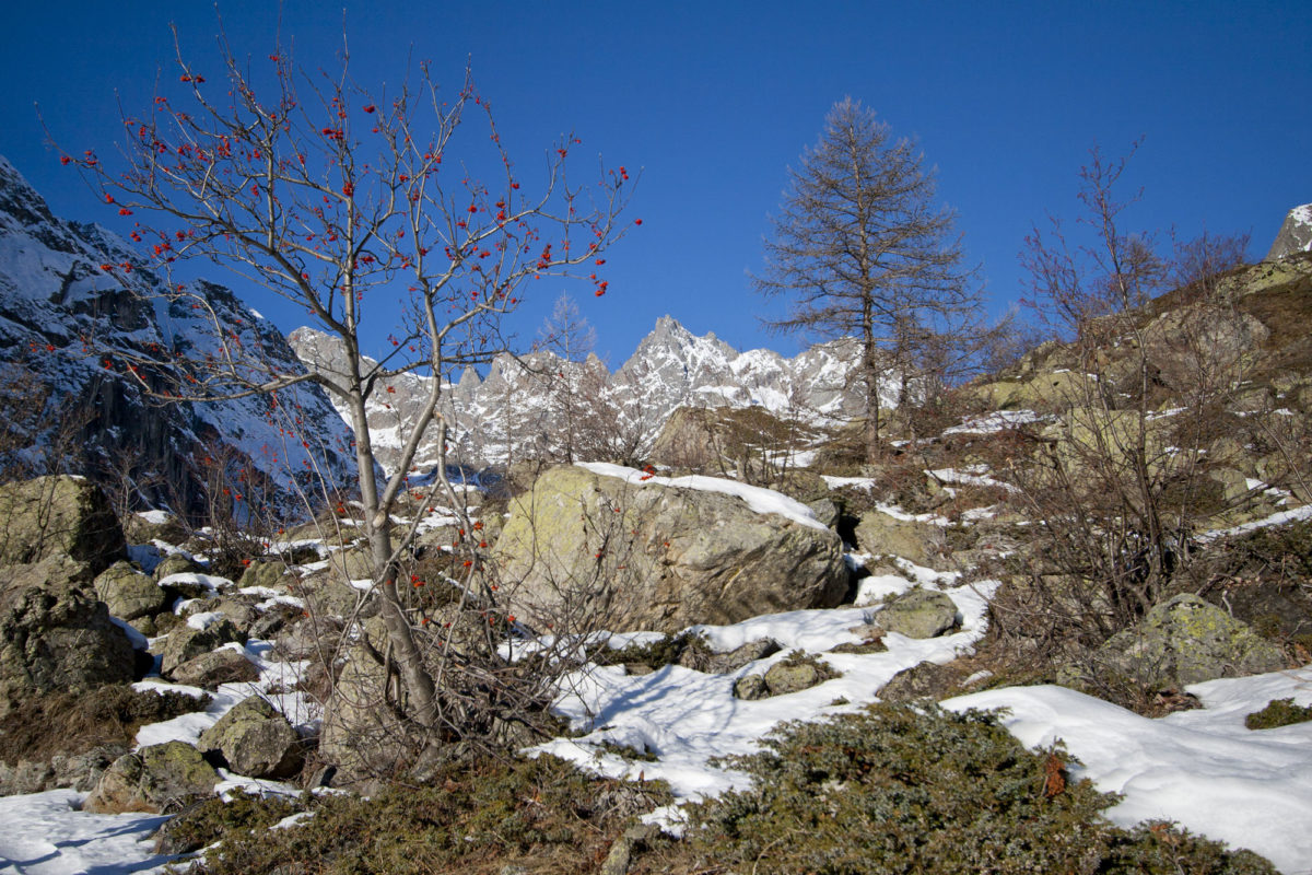 Pays des Ecrins, Hautes-Alpes.