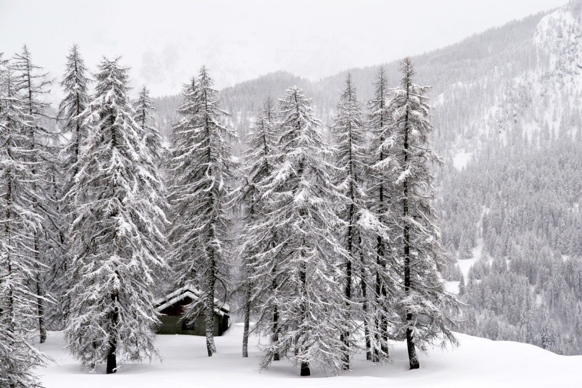 Pays des Ecrins, Hautes-Alpes.