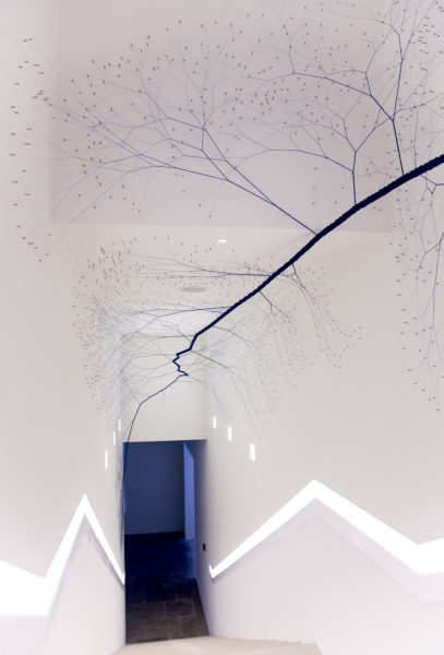 Janaina Mello Landini, Ciclotrama 50 (Wind), 2018