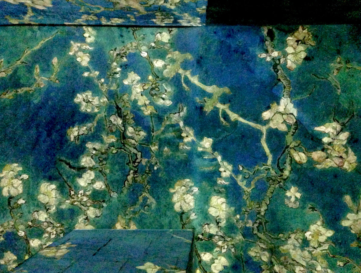 Amandiers en fleurs, exposition "Van Gogh, La nuit étoilée" aux Carrières de Lumières.