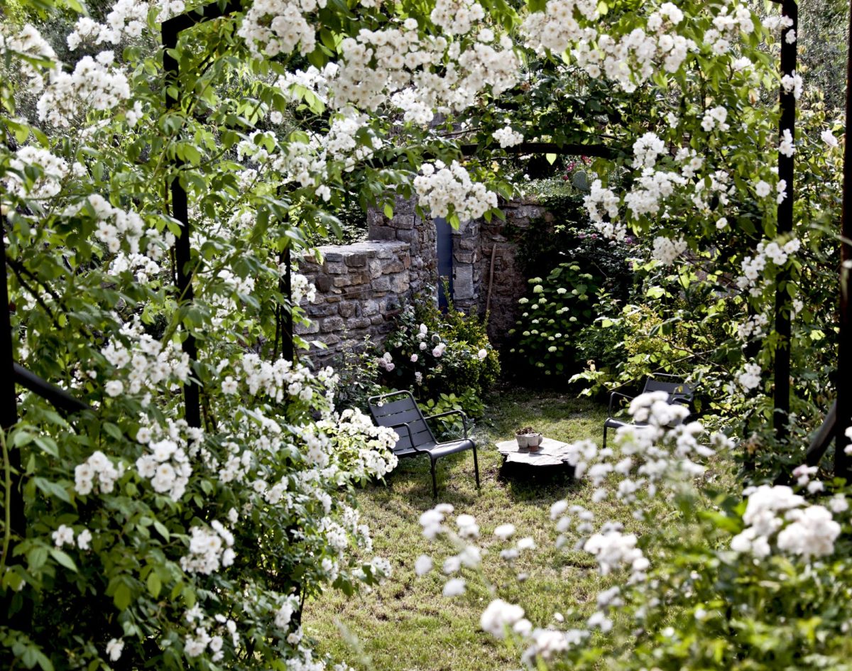 Bosquet de roses, maison en Ardèche. © Elodie