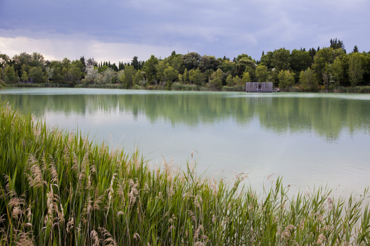 Coucoo Les Grands Cépages, Vaucluse, Provence. © Elodie Rothan