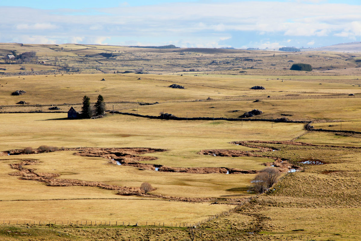 Les plateaux de l'Aubrac. © Elodie Rothan