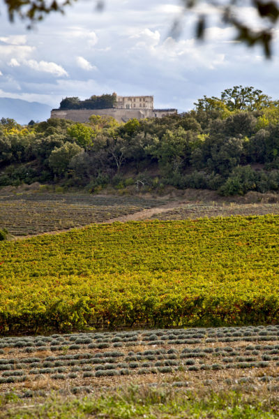 Château de Grignan