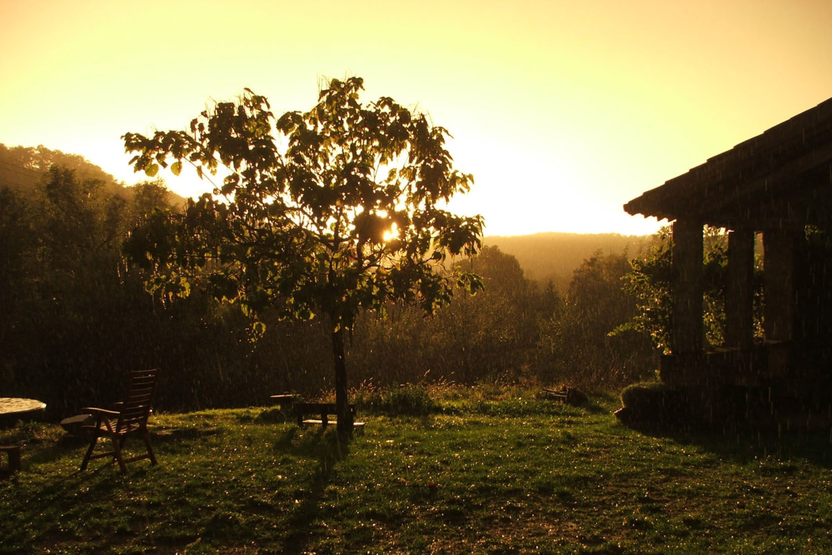 Lumière de fin de journée, domaine Les Quatre Toits, dans le Tarn-et-Garonne. © Les Quatre Toits