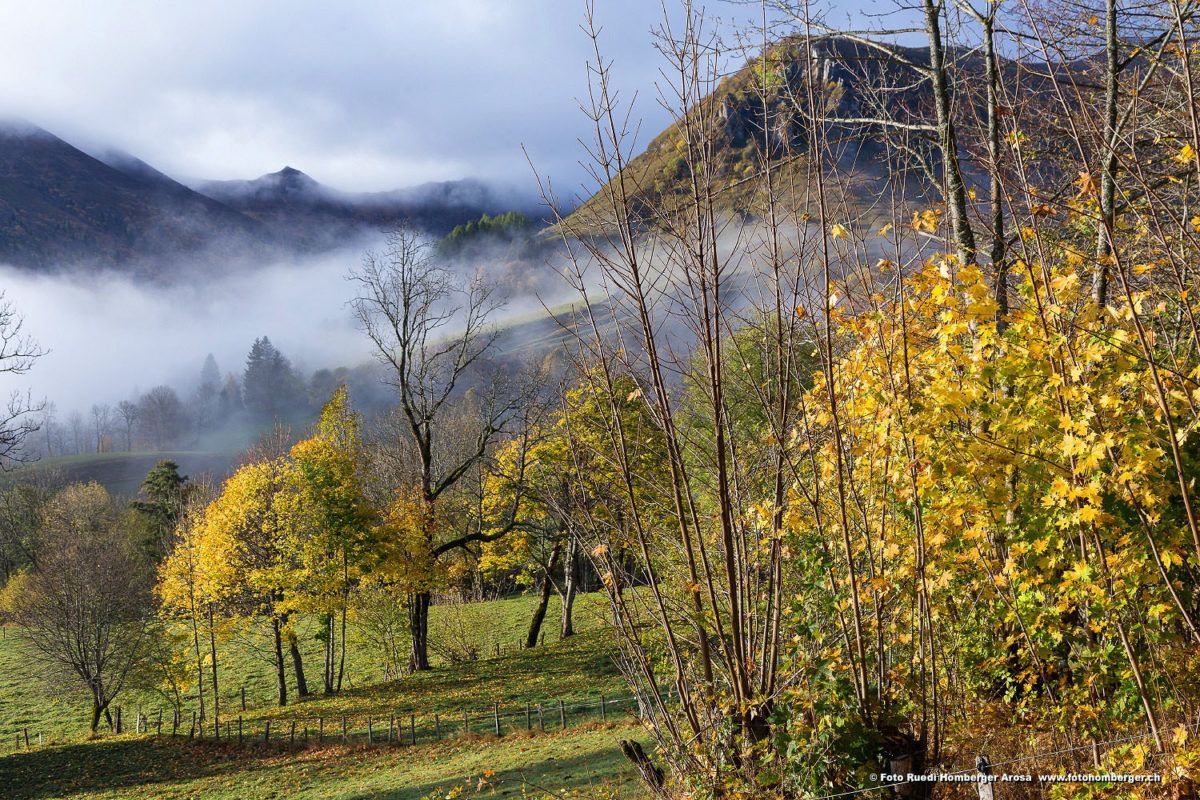 Nature alentour, Alta Terra dans le Cantal. © Ruedi Homberger
