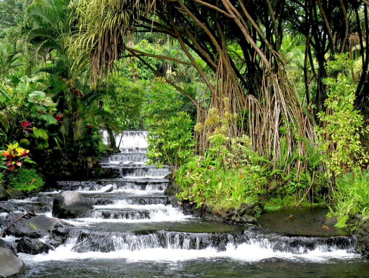 Sources d'eaux chaudes du volcan Arenal, aux Costa Rica.