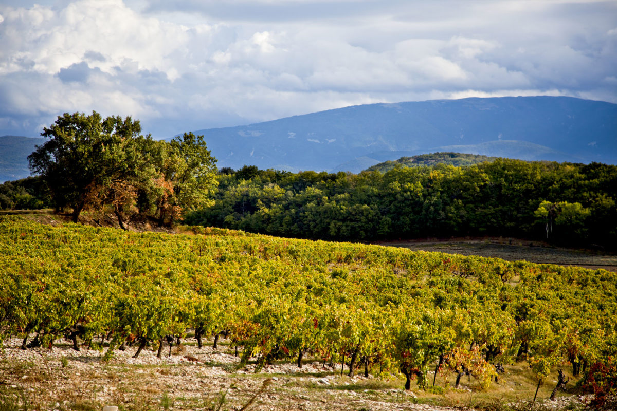 Appellation Grignan-les-Adhémar