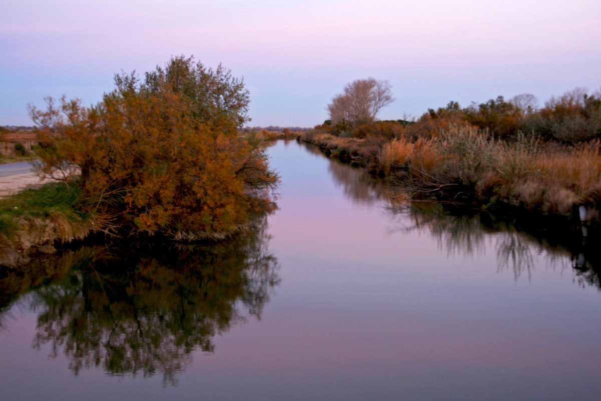 Région sauvage : Couleurs du soir, Camargue, Provence. © Elodie Rothan