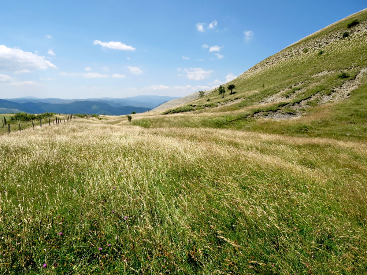 Région sauvage : Cham des Bondons, Lozère. © Elodie Rothan