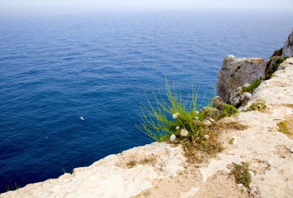 Falaise. © Elodie Rothan
