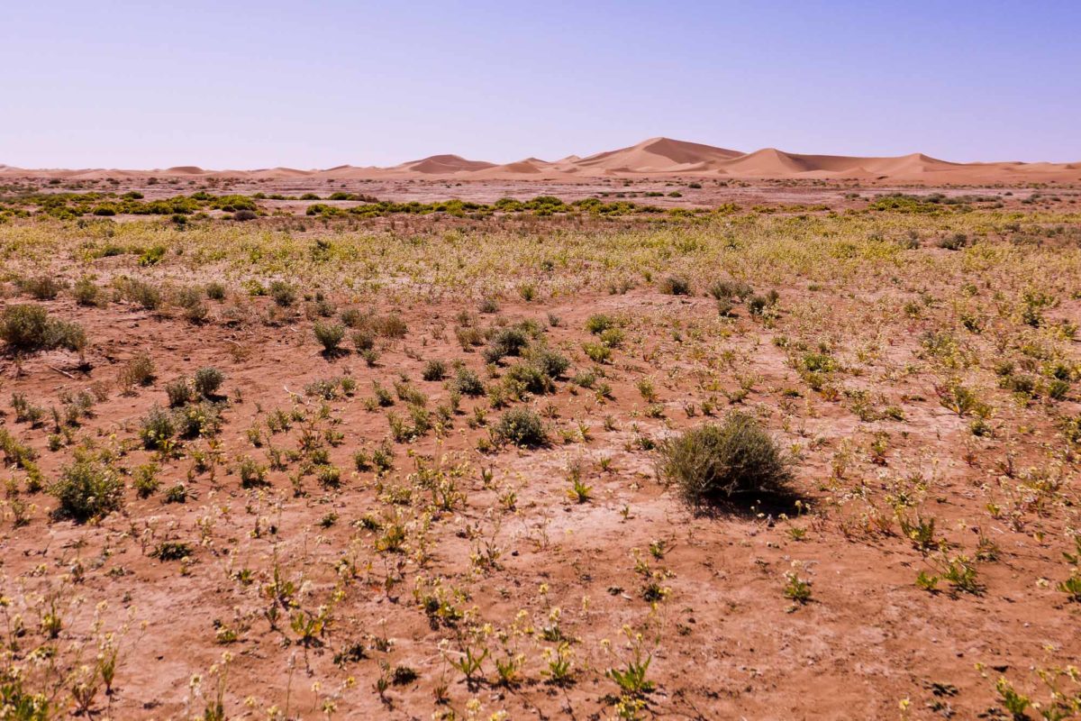 Le désert, Umnya Dune Camp, Maroc. © Elodie Rothan