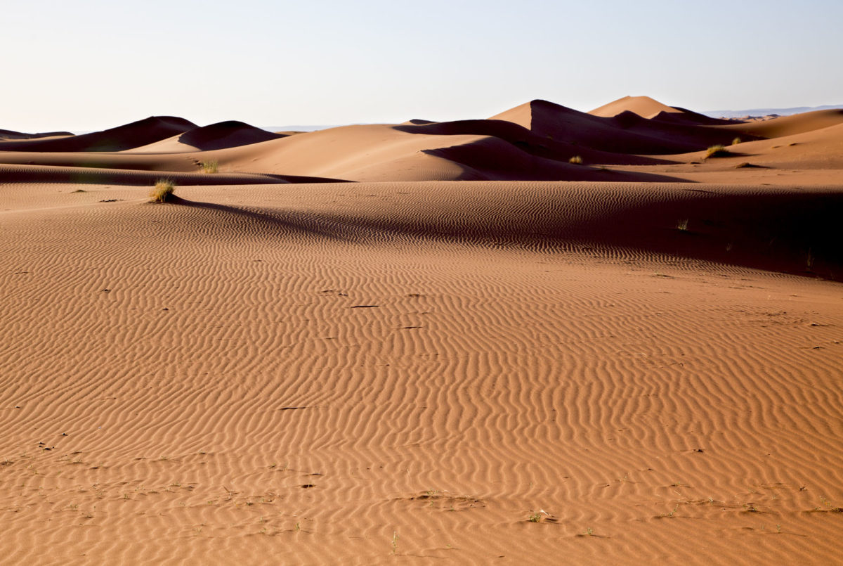 Les dunes, Umnya Dune Camp, Maroc. © Elodie Rothan